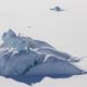 Meet the unique group of polar bears living with less sea ice