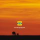MTN Group Launches ‘Voice’ Brand Film to Empower Youth in Africa