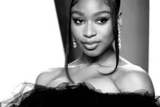 Normani’s Appearace In Chris Brown’s New Video Is Not Receiving A Warm Embrace On Twitter