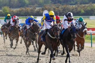 Northumberland Plate Trends & Tips | Best Bets For Newcastle Race
