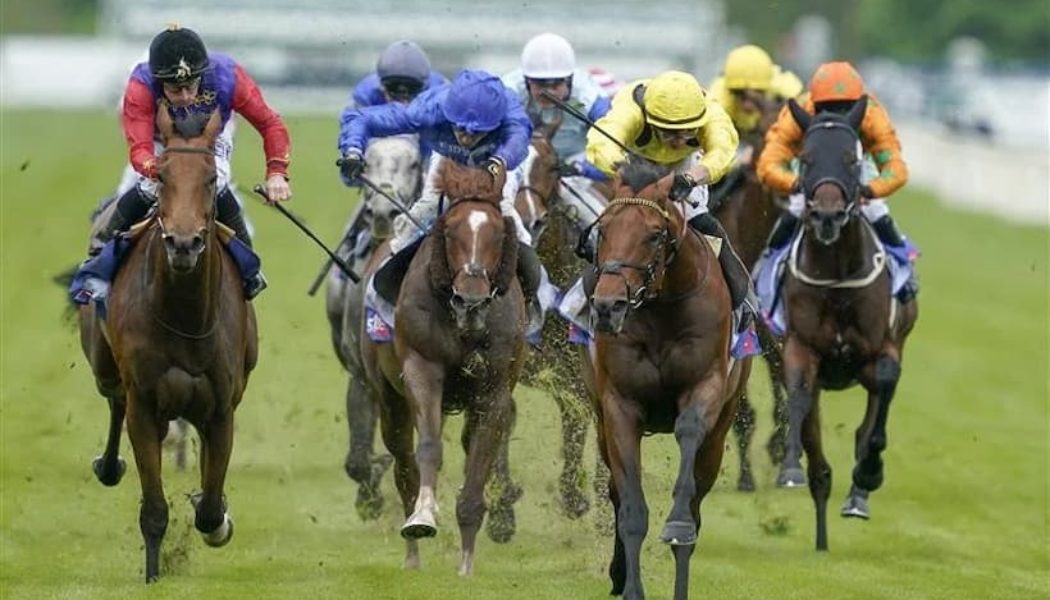 Old Newton Cup 2022 | Bookies Say Gaasee Has 38% Chance Of Winning