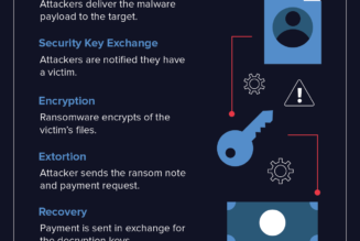 Ransomware Attacks: 4 Steps to Protect Your Data