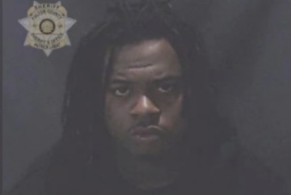 Rapper Gunna Releases First Statement Since RICO Charges