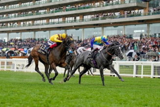 Royal Ascot Lucky 15 Tips Today: Four Best Bets on Friday 17th June