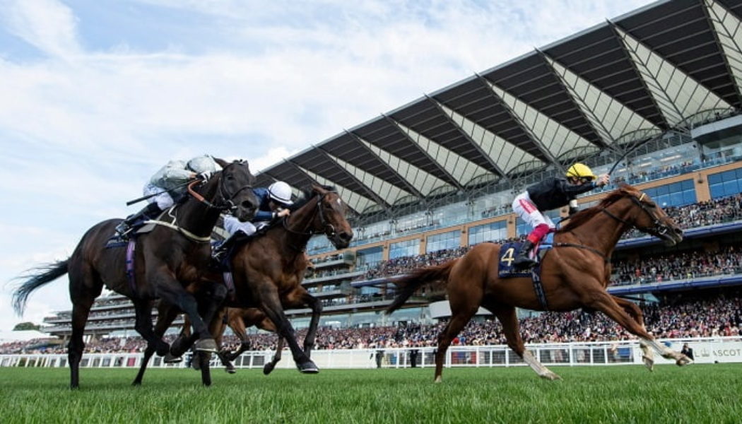 Royal Ascot Lucky 15 Tips Today: Four Best Bets on Thursday 16th June