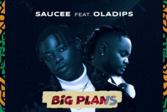 Saucee – Big Plans ft OlaDips