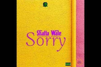 Shatta Wale – Sorry