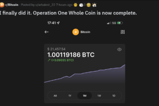 Small-time investors achieve the 1 BTC dream as Bitcoin holds $20k range