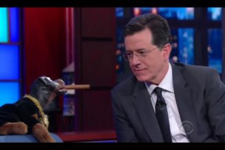 Stephen Colbert Addresses Triumph the Insult Comic Dog’s Capitol Arrest