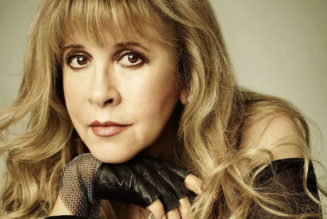 Stevie Nicks Calls for Stricter Gun Control: “Background Checks Are Not That Hard”