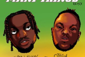 Superwozzy ft Otega – Many Things (Remix)