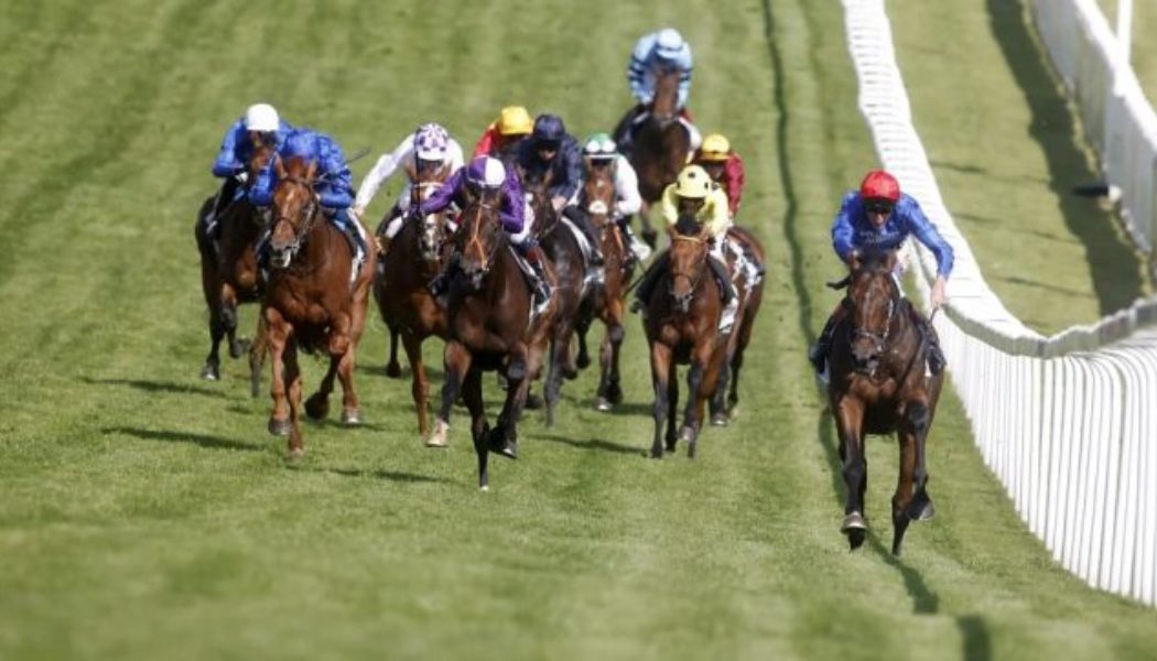 Top 7 New Epsom Derby Betting Sites With Horse Racing Free Bets