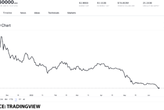 Top interest-earning tokens to help you passively make money