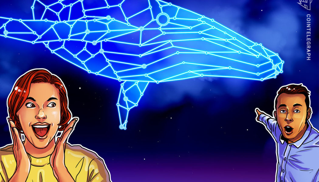 What decentralization? Solend approves whale wallet takeover to avoid DeFi implosion