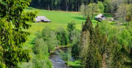 11 things to do in Gauja National Park, Latvia