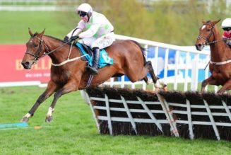 2022 Galway Hurdle Trends and Tips | Who Will Win Based On The Stats?