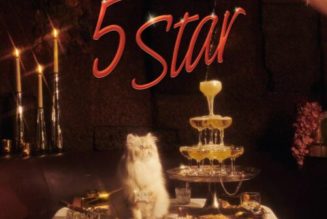 Adekunle Gold – 5 Star