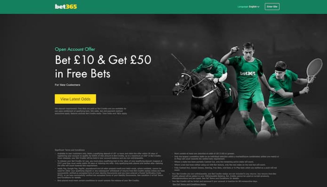 bet365 Old Newton Cup Betting Offers | £50 Haydock Park Races Free Bet