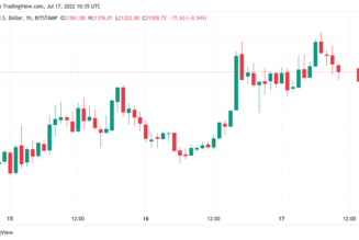 Bitcoin hodlers will ‘soon see why’ $21.6K BTC price pump is fake — trader