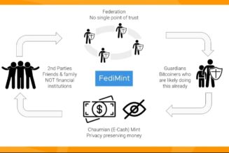 Bitcoin is for billions: Fedimint on scaling BTC in the global south