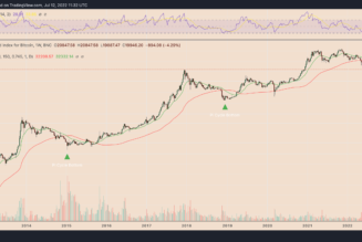 Bitcoin price indicator that marked 2015 and 2018 bottoms is flashing