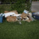 ‘Dead bodies’ and dump sites draw DOJ civil rights probe of Houston