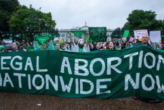Deerhoof, Suuns, Lou Barlow, Appear on Joyful Noise Abortion Rights Benefit Compilation