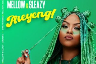 Dinky Kunene ft Mellow & Sleazy – Areyeng