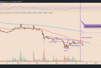 Dogecoin misses bullish target after Elon Musk snubs Twitter — what’s next for DOGE price?