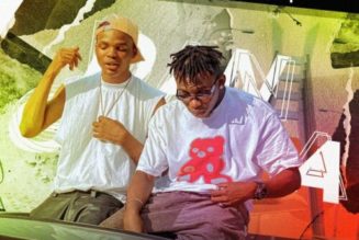 Fuzeejasmine ft Bhadboi OML – Dangbana