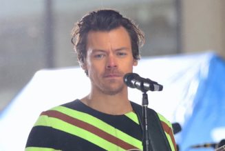 Harry Styles Cancels Copenhagen Concert After Mall Shooting Near Venue