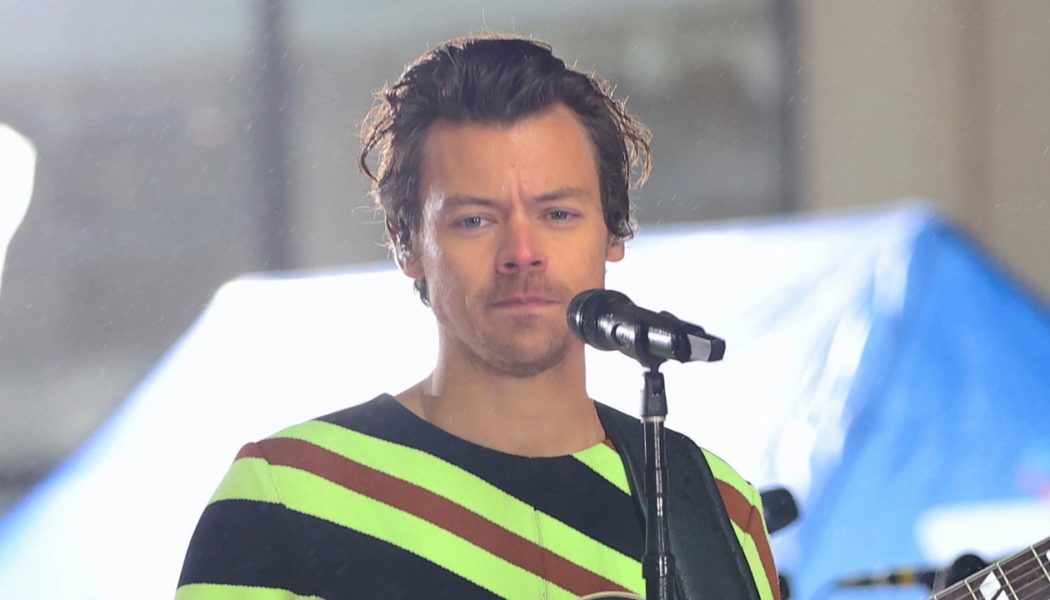 Harry Styles Cancels Copenhagen Concert After Tragic Mall Shooting