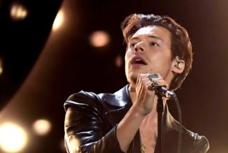 Harry Styles Cancels Copenhagen Concert Following Shooting at Nearby Shopping Mall