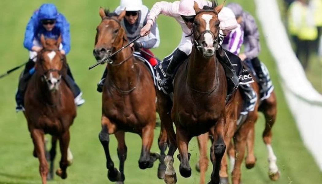 Horse Racing Tips Today: Best UK and Ireland Racing Bets | Sat 16th July
