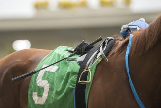 Horse Racing Whip Rules Changed – Backhand Use Only From Autumn