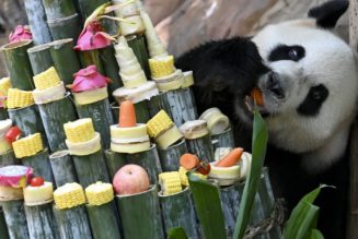 Is that a birthday greeting or are you just trying to sell me something?