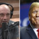 Joe Rogan Calls Donald Trump a “Man-Baby” on Adderall