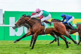 King George 2022 Ascot Trends | Which Horse Ticks The Most Stats?