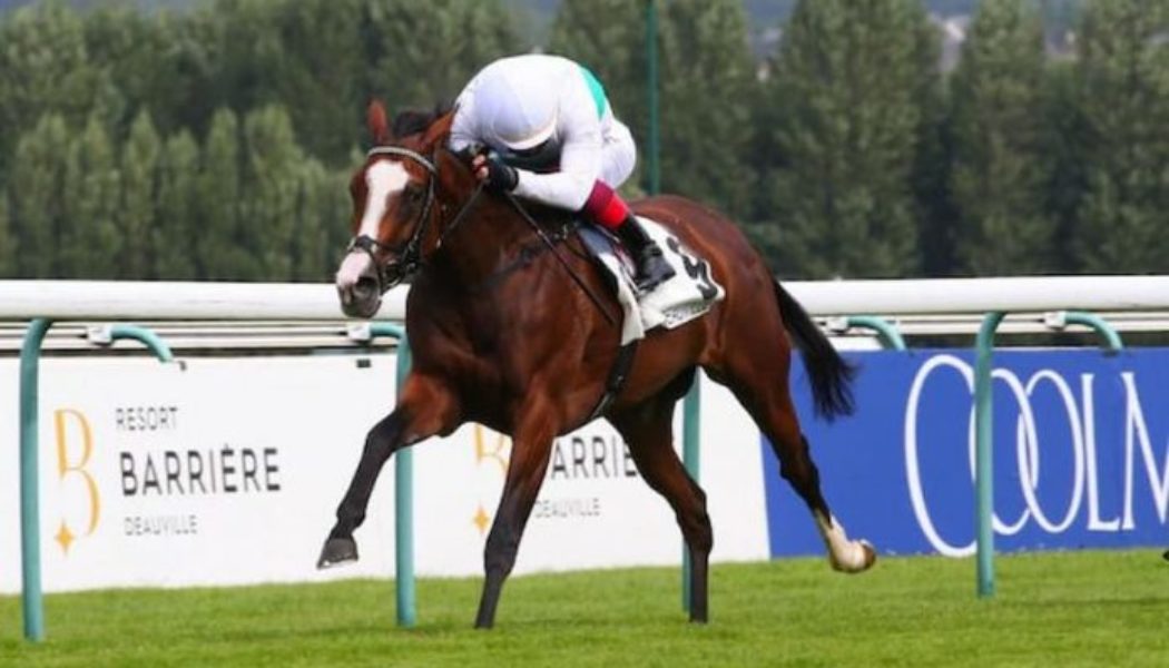 Lancashire Oaks 2022 Trends | Which Horse Will Win Based On The Trends?