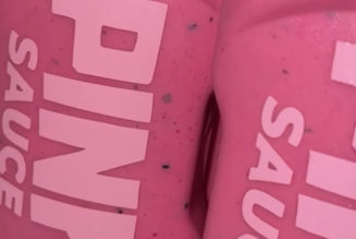 Nobody knows what’s in Pink Sauce, TikTok’s latest viral product