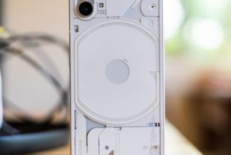 Nothing Phone 1 review: something else