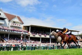 Old Newton Cup 2022 Trends | The Horses With The Best Winning Profiles