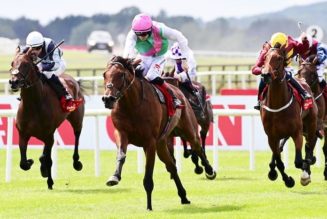 Pros & Cons of All 6 Runners for King George 2022 at Ascot