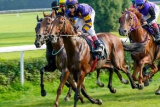 Racing Tips: Andrew Mount’s Sunday Picks – July 17th