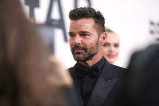 Ricky Martin Denies Allegations Of Incest With His Nephew