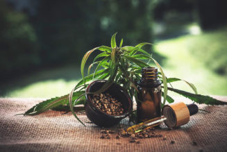 Sponsored: What is CBD and How Can it be Beneficial to Your Health?