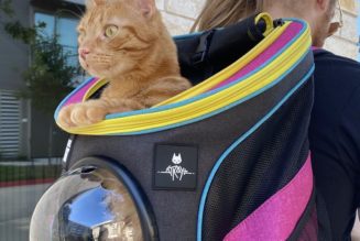 ‘Stray’ Taps Travel Cat for a Special Edition Cat Carrier Backpack