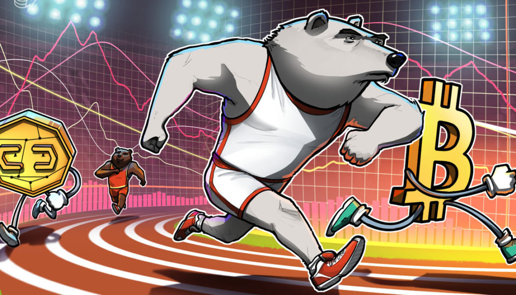 The best bear market plan? ‘Relentless optimism for the future,’ says fintech CEO