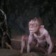 The Gollum video game won’t be launching with Amazon’s LOTR show anymore