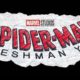 Tom Holland Will Not Return for ‘Spider-man Freshman Year’